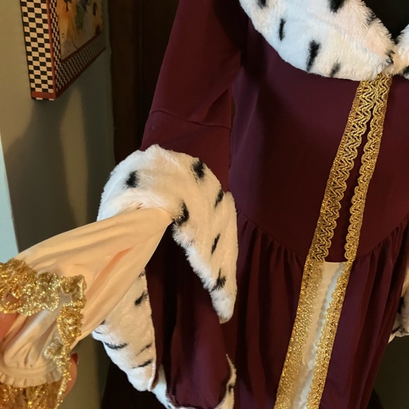 Adult Costume Cosplay Princess, Queen, Cruella de Vil, Big Bad Wolf, Cinderella - Picture 6 of 9